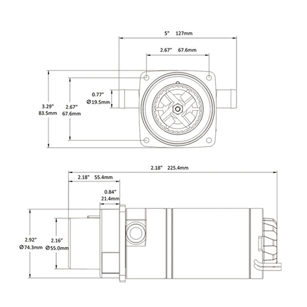 SEAFLO 12V/24V Elektrische Marine Toiletten-Spülpumpe – Selbstansaugende Macerator Pumpe 5 GPM für Bootstoiletten