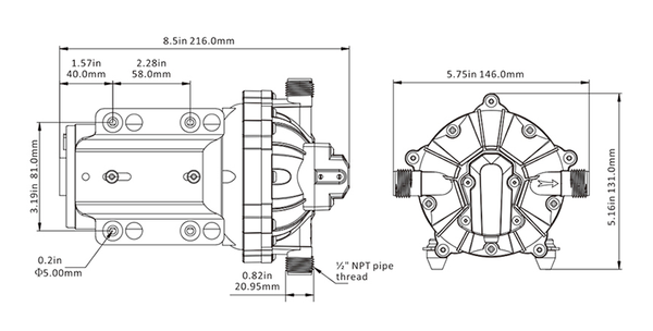 SEAFLO 51 Series Washdown Pump Kit der Serie 51 With 6m Coiled Hose, 19,7L/min 5,2bar